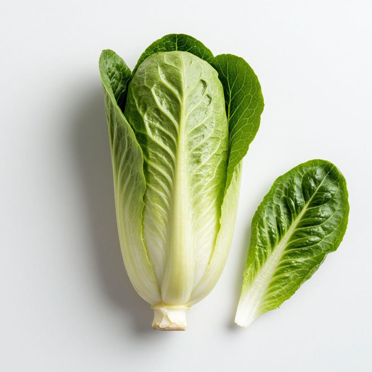 Ингредиент Салат романо для рецепта Салат Цезарь с помидорами черри: классический пошаговый рецепт